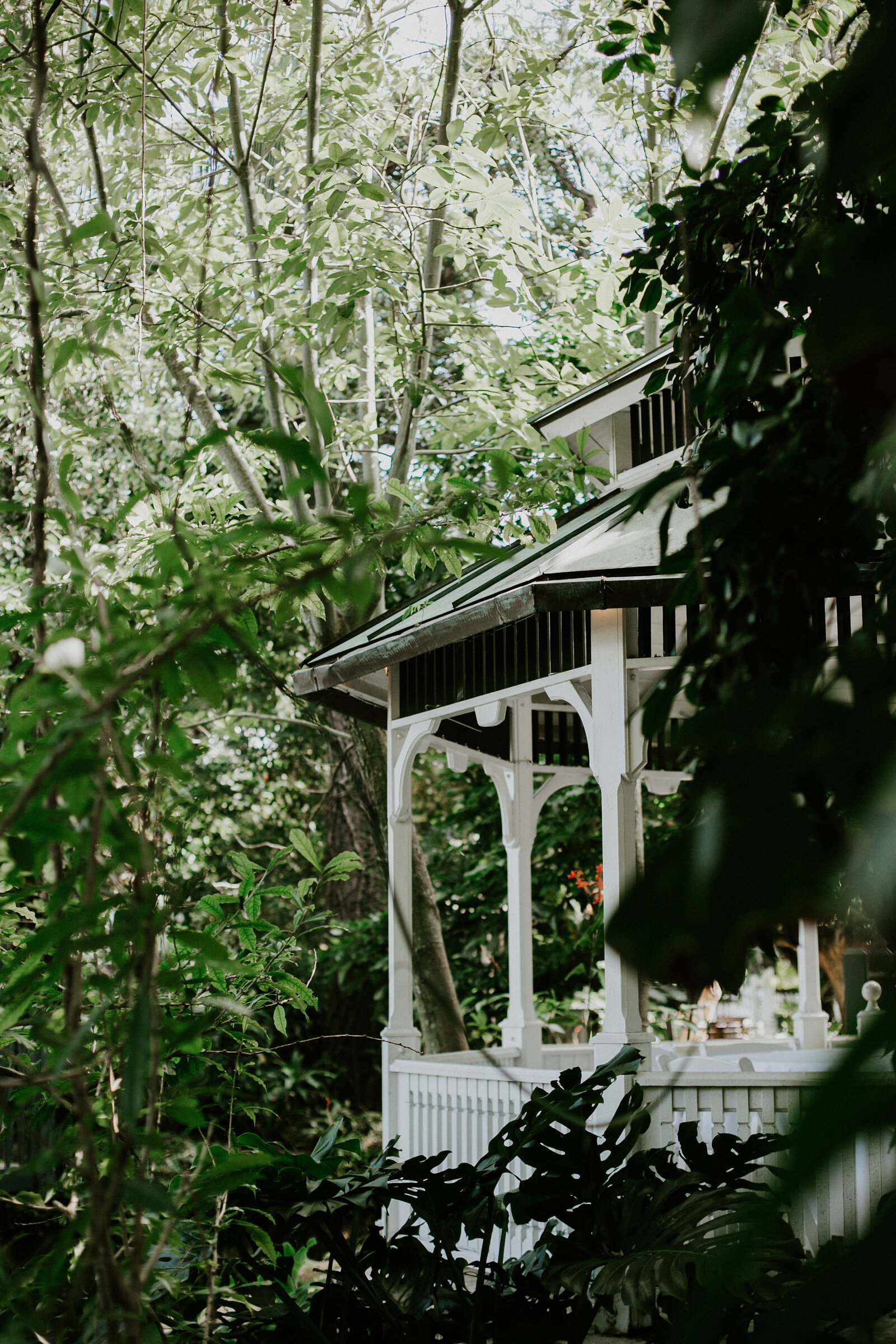 Historic Palm Beach garden inn wedding venue framed by lush greenery